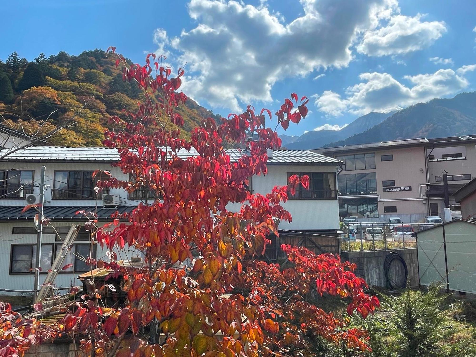 Tsuyukusa Takayama  Luaran gambar